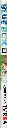 BLUEBOX_4003.webp