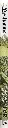 BESTIARIUS_3003.webp