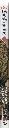 BESTIARIUS_5003.webp
