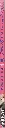 BOCCHI_5003.webp