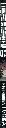 LOSER_3003.webp